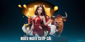 Ngưu ngưu cướp cái 8us